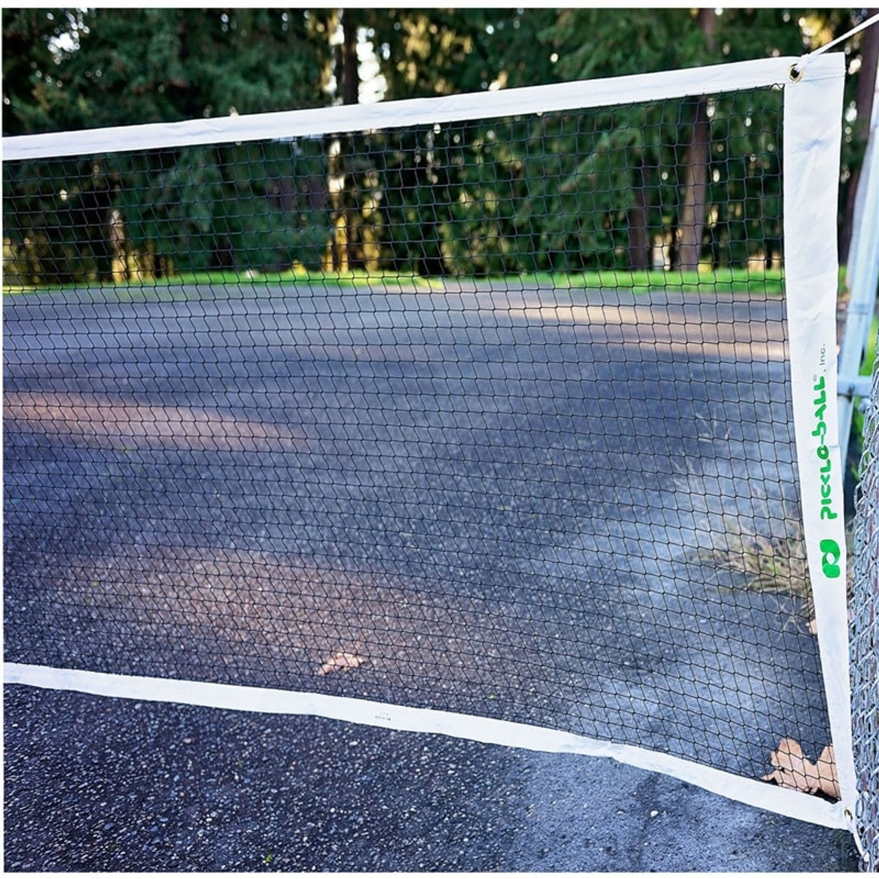 Lightweight Pickleball Net